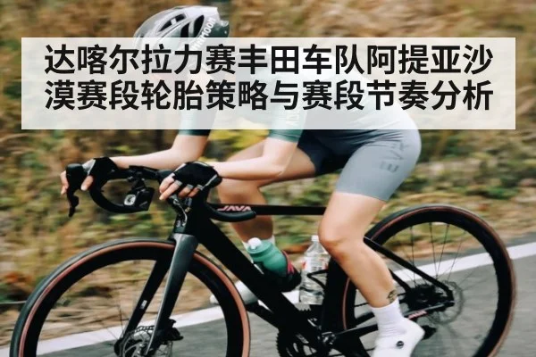 达喀尔拉力赛丰田车队阿提亚沙漠赛段轮胎策略与赛段节奏分析